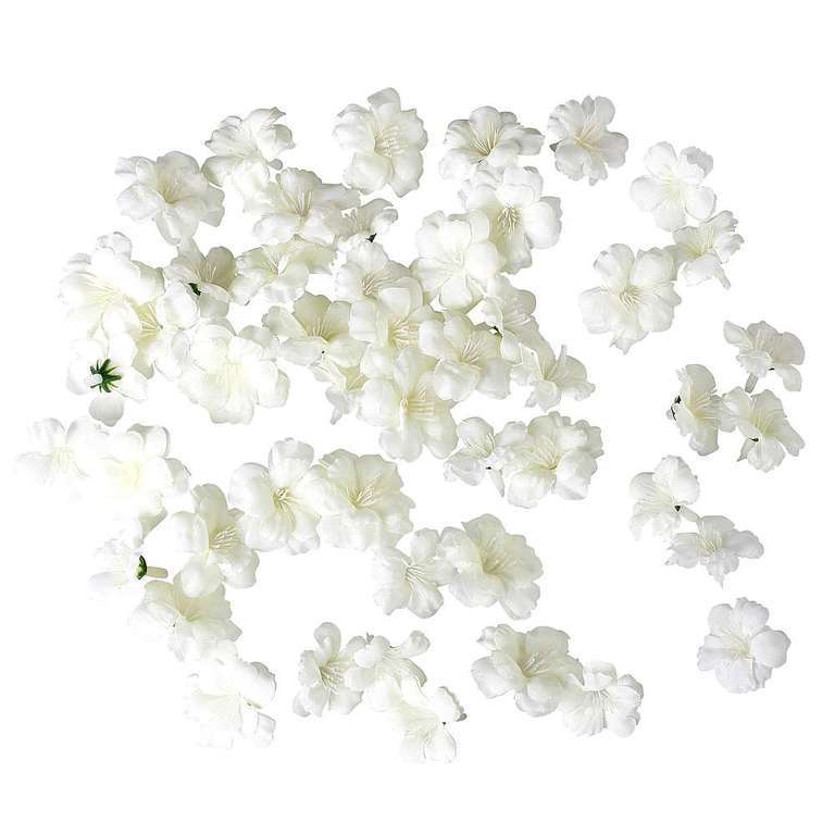 Cherry Blossom