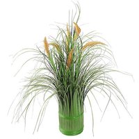 Grasbundel met schilfbluten