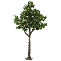 Citroenenboom 230 cm