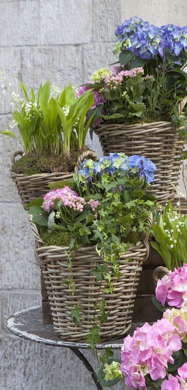 Banner BasketFlower