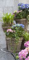 Banner BasketFlower