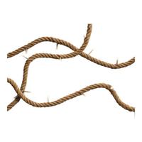 Seil mit Ankerhaken, mit echtem Tau, natur Ø25cm,