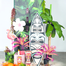 FS20_Sommer_Hawaii.jpg