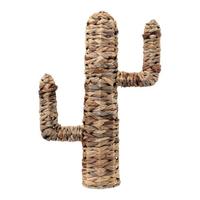 Cactus Wickerwork