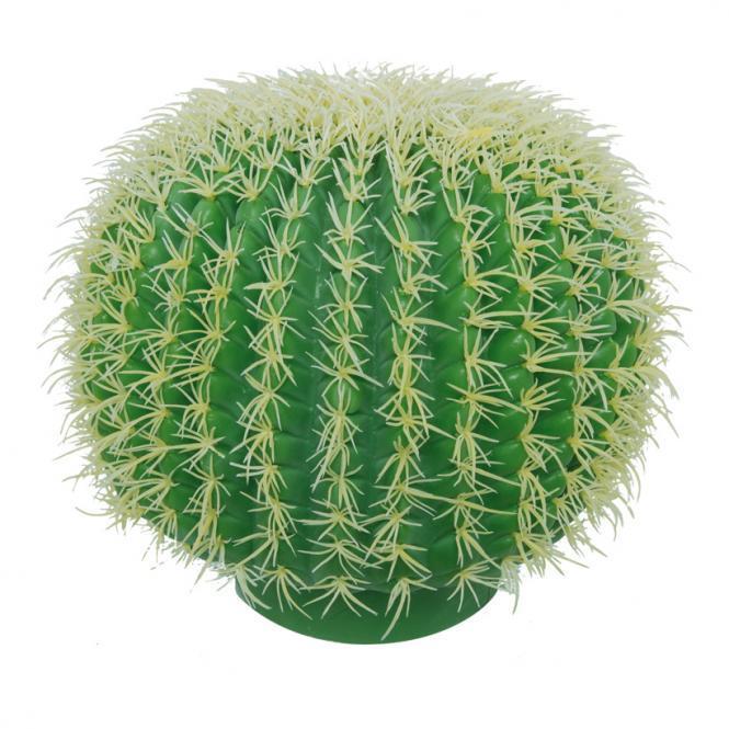 Golden ball cactus