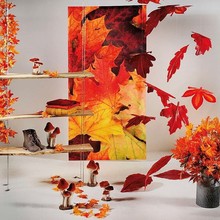 Herfst 20.jpg