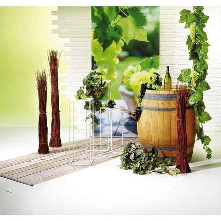 Vino White