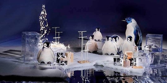 Winter 087