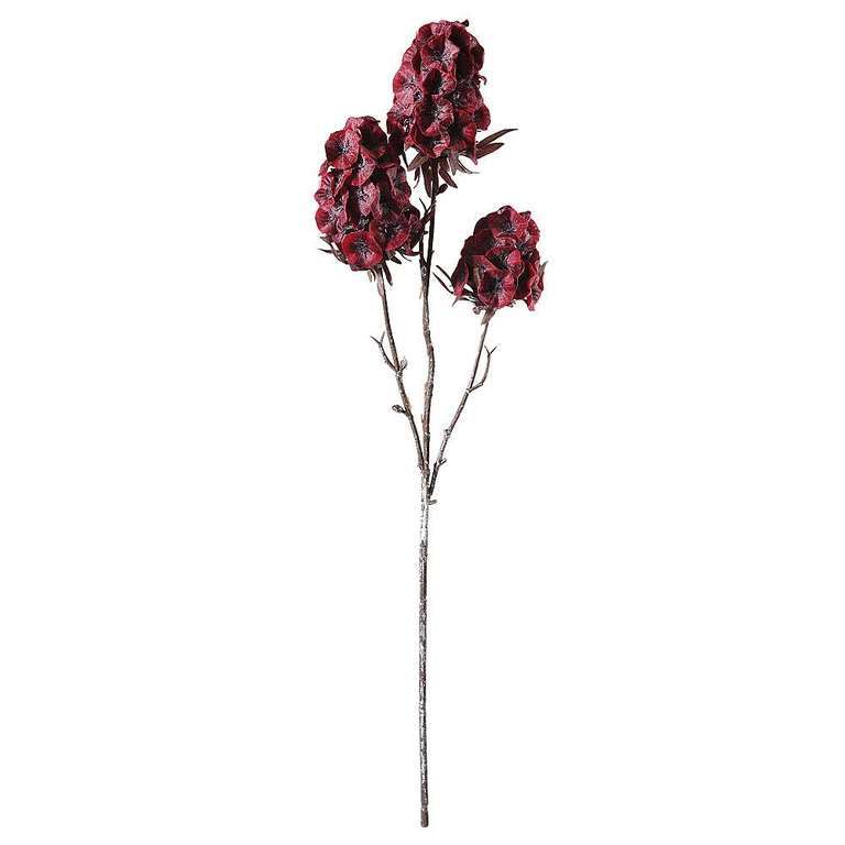 Scabiosa Fruchtstand, rot 49cm