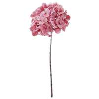 Hortensie, rosa 49cm