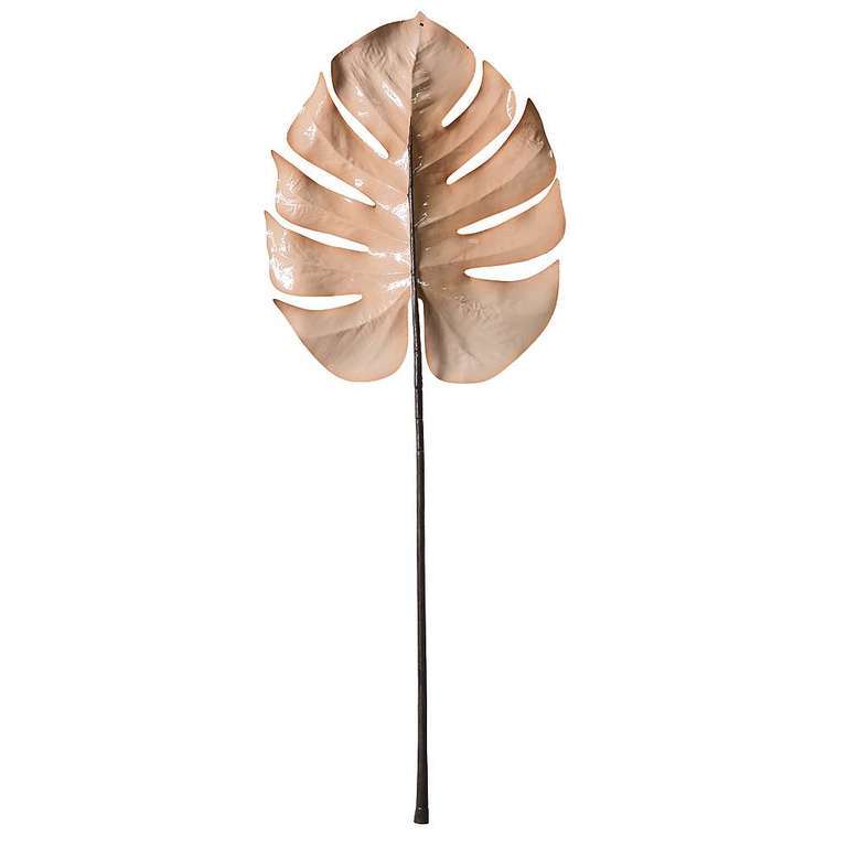 Monsterablatt, creme 90cm