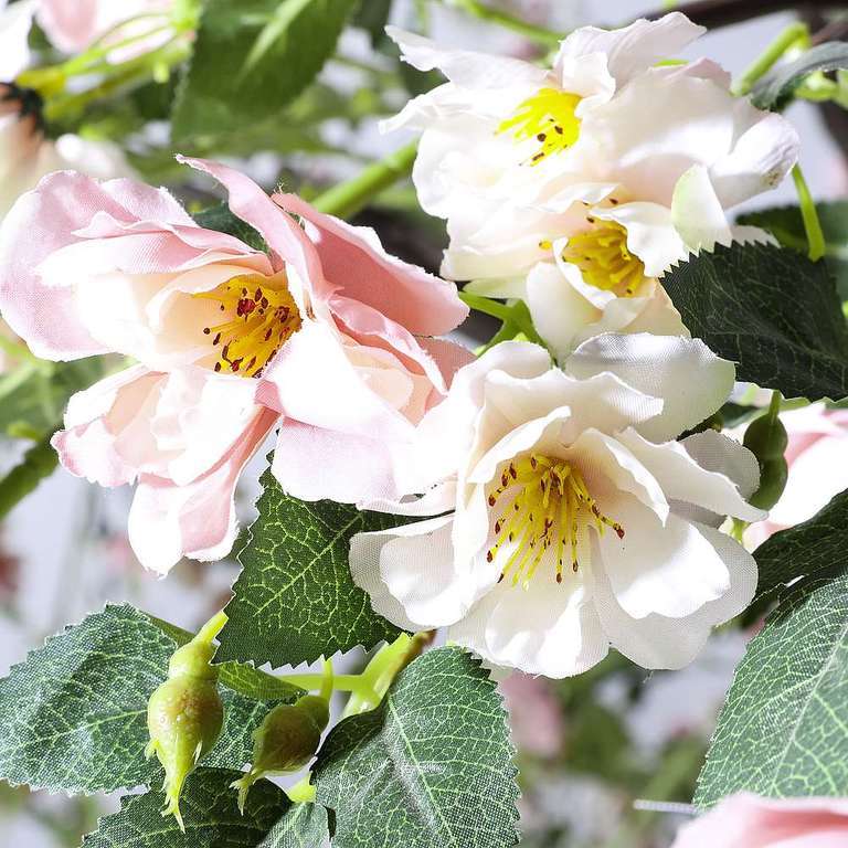 Rose Tree white/Rose - 210cm