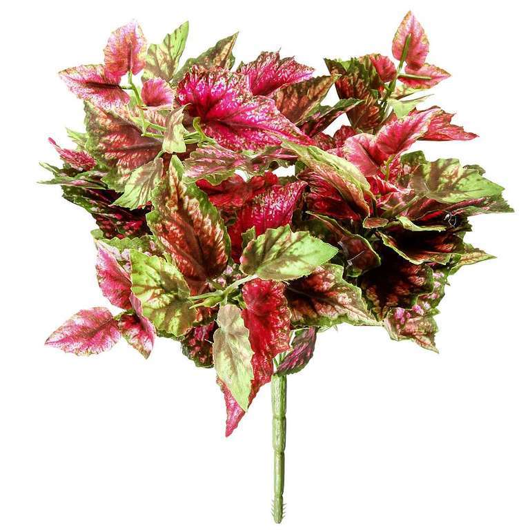 Blattbegonien-Busch 30cm,rot