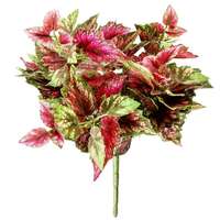 Blattbegonien-Busch 30cm,rot
