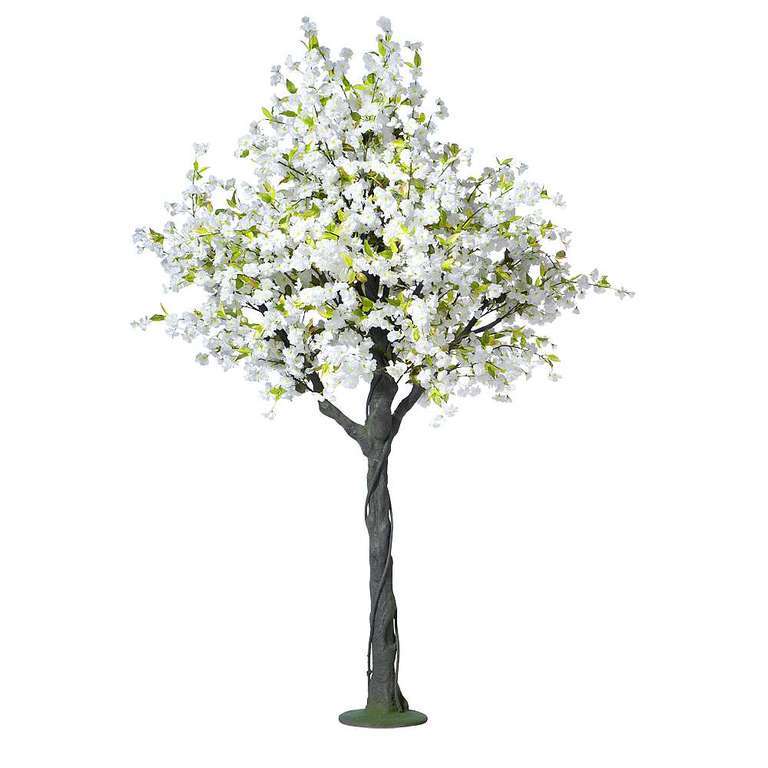 Kersenbloemenboom 