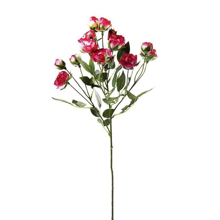 Mossweed branch