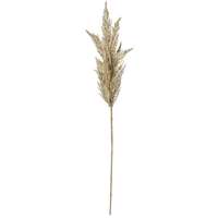 Pampas-Wedel, natur 94cm