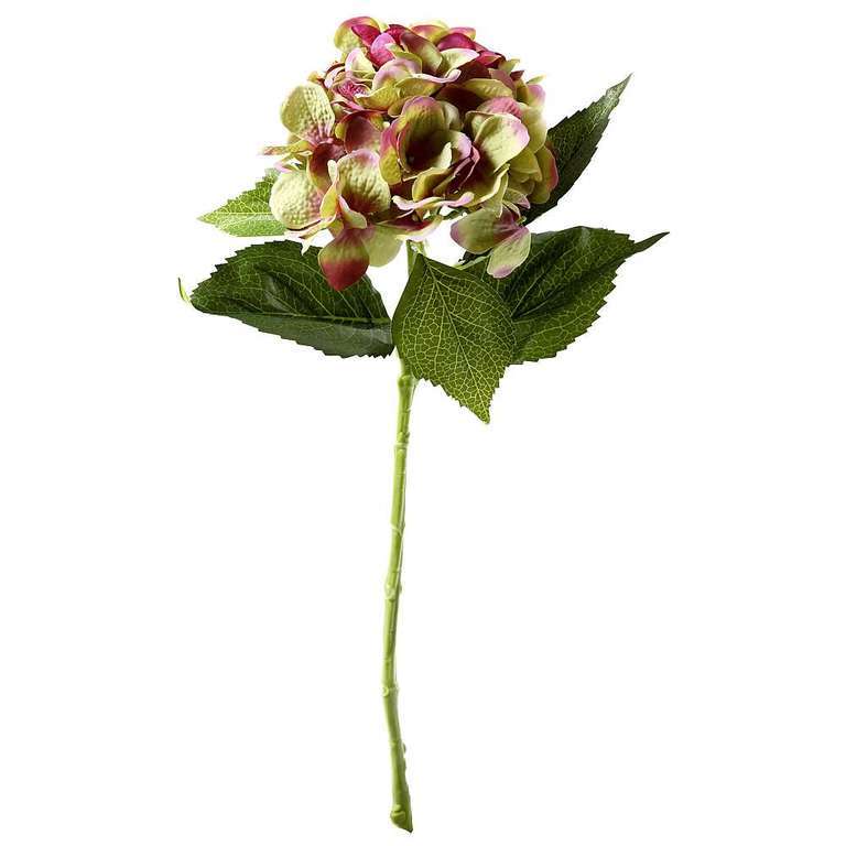 Hortensie 52cmL,