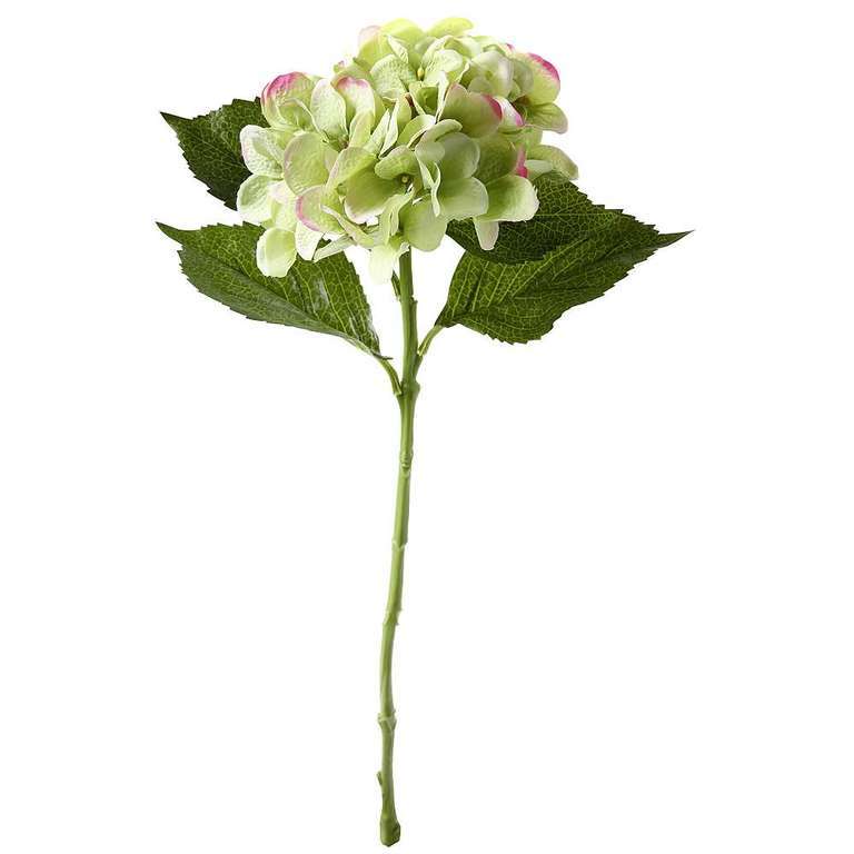 Hortensie 52cm,