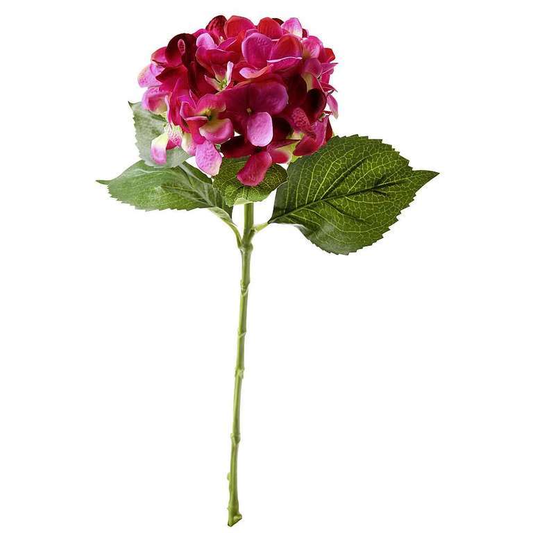 Hortensie 52cmL,