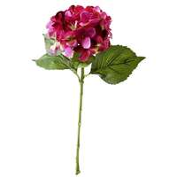 Hortensie 52cmL,