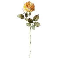Rose gelb 60cmL Dry-Look