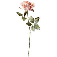 Rose rosa 60cmL Dry-Look