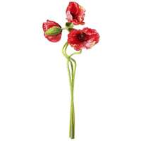 Mohnblume, 73 cm hoch, 3er Set, rot