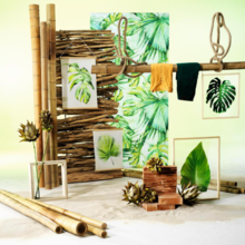 Bambooo style.png