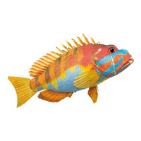 Tropical Fish 47x29x13cm