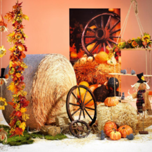 Herfst 10.png