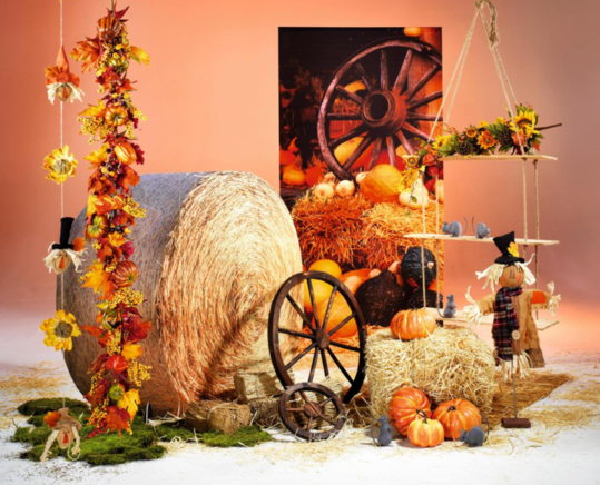 Herfst 23