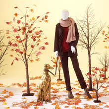 Herfst 5.jpg