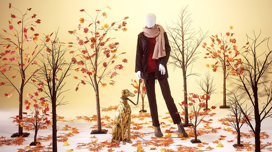 Herfst P