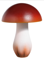 Mushroom groot 60x40cm