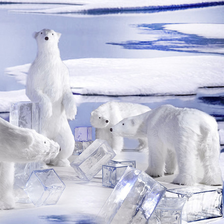 Winter 144