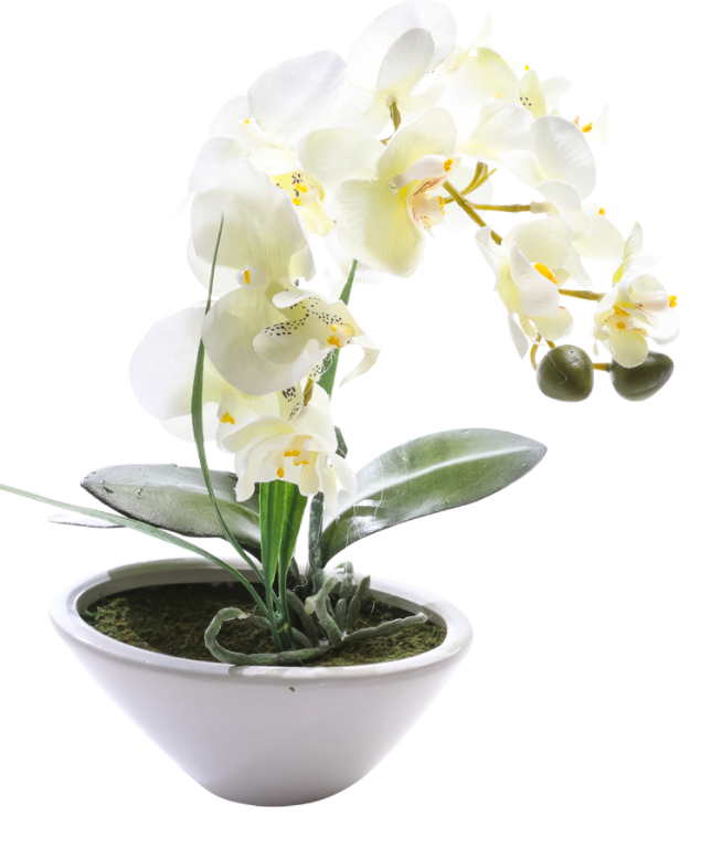 Orchidee im Topf 28x15cm,wei