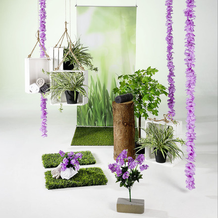 Spring 29