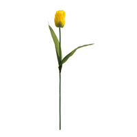 Tulp 70cm- 10cm Ø