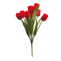 Bouquet of Tulips