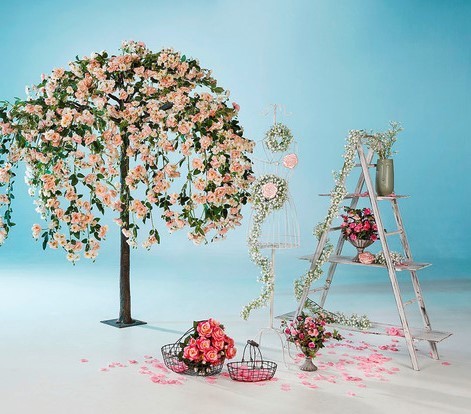 Spring 26