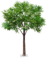 Artificial Ficus Alii Tree 170cm