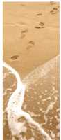 Banner Strand