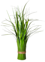 Grasbundel 42cm