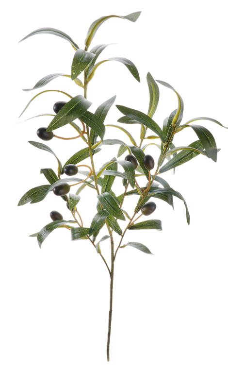 Olivenzweig 84cm
