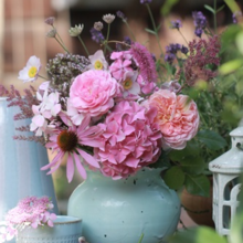 DB flowertable.png