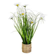 800_022_02-6-0-00.png