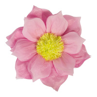 XL Paper Flower 60cm Ø 