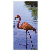 Banner  Flamingo in Water