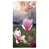 Banner  Magnolie  Close  Up